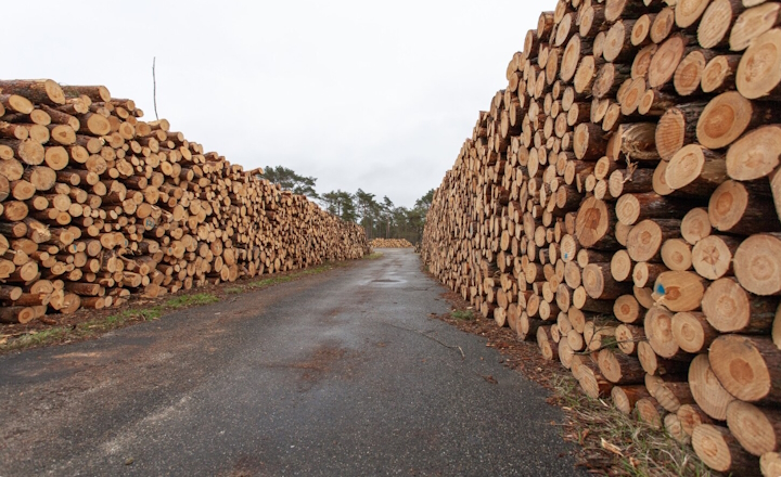 Creative Ways to Use Landscaping Timber in Outdoor Projects Creative Ways to Use Landscaping Timber in Outdoor Projects